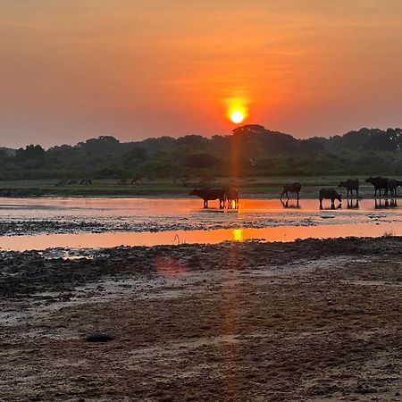 Kingfisher Beach Resort-Yala Кірінда Екстер'єр фото
